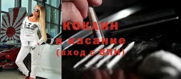 мдпв Богородск