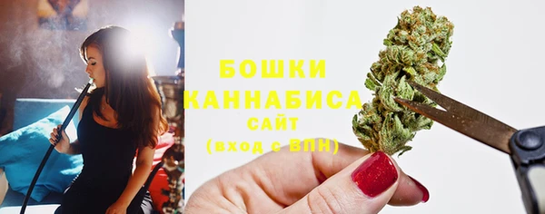 прущий лед Богданович