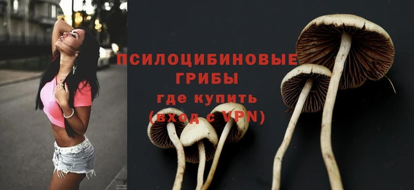 мдпв Богородск