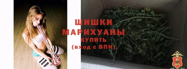 мдпв Богородск