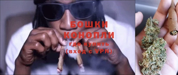 мдпв Богородск