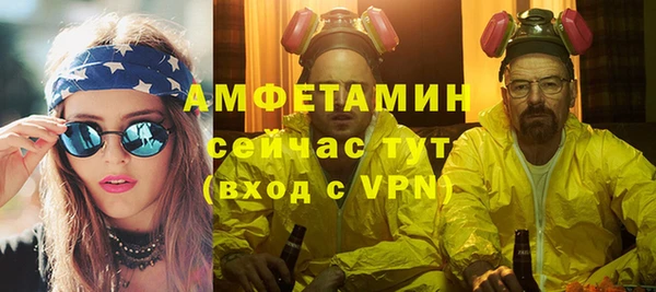 прущий лед Богданович
