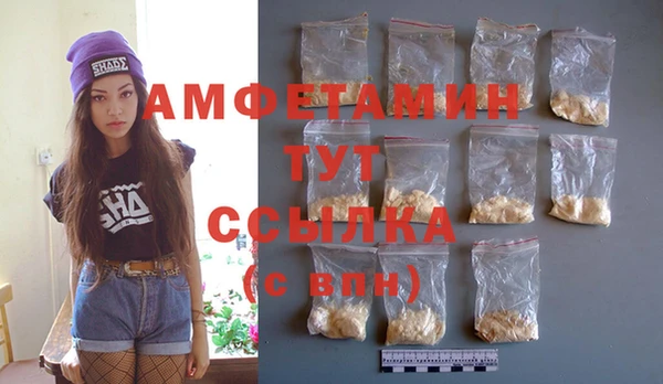 прущий лед Богданович