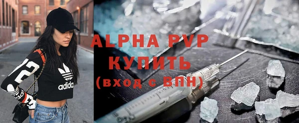 прущий лед Богданович