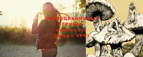 МДМА Богородицк