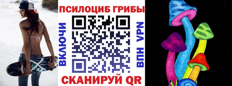 Купить где  Волоколамск  Псилоцибиновые грибы Cubensis 